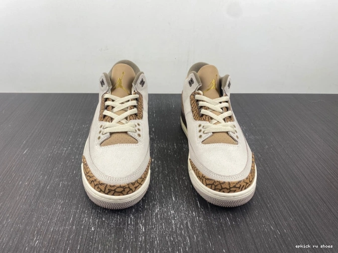 Rep CT8532-102 Jordan Palomino Air 3 0821